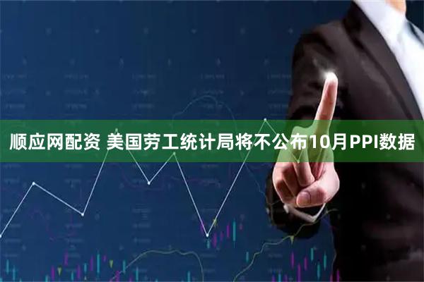 顺应网配资 美国劳工统计局将不公布10月PPI数据