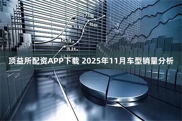 顶益所配资APP下载 2025年11月车型销量分析