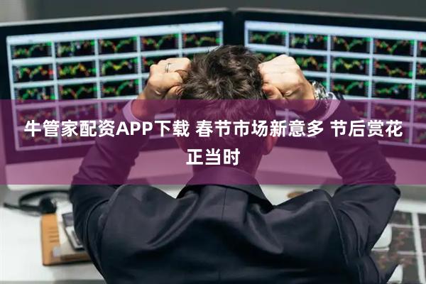 牛管家配资APP下载 春节市场新意多 节后赏花正当时